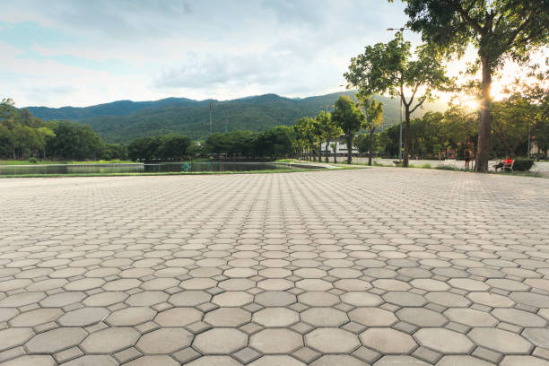 Best Best Driveway Pavers  in Weston, NJ
